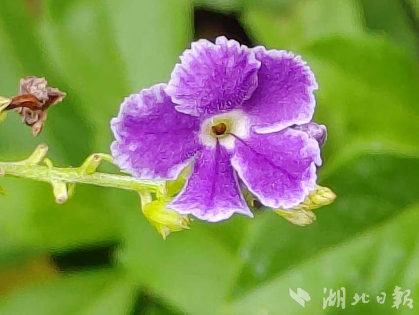 8102b.com宝马论坛